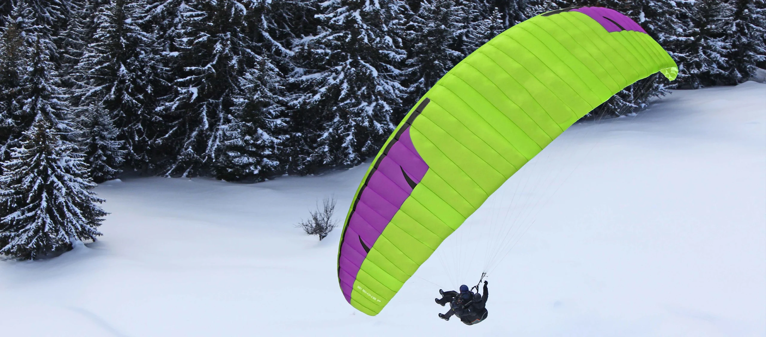 Monosurface ultralight tandem wing Bi Skin 2 P by Niviuk