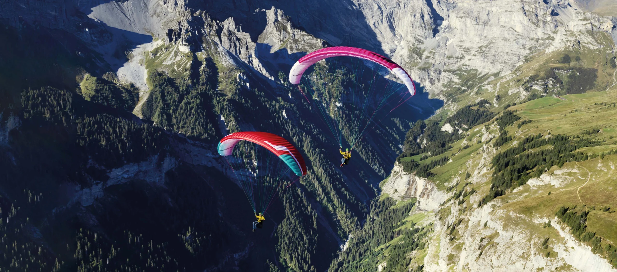 Koyot 5, entry level wing, school glider, Niviuk Paragliders