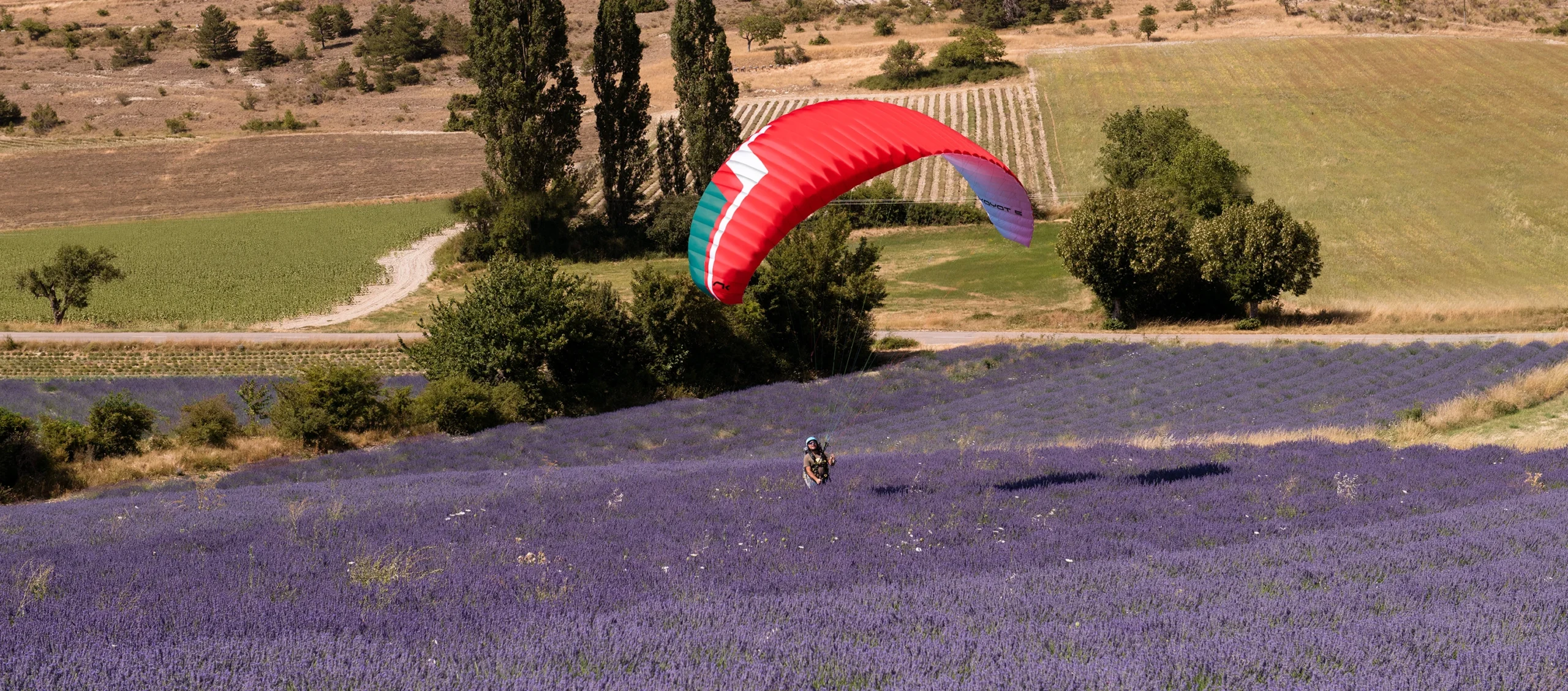 Koyot 5, entry level wing, school glider, Niviuk Paragliders