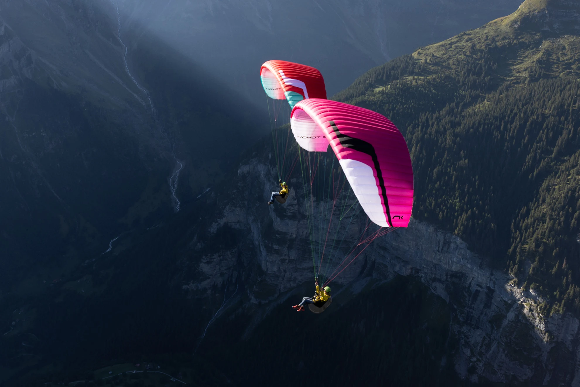 Koyot 5, entry level wing, school glider, Niviuk Paragliders
