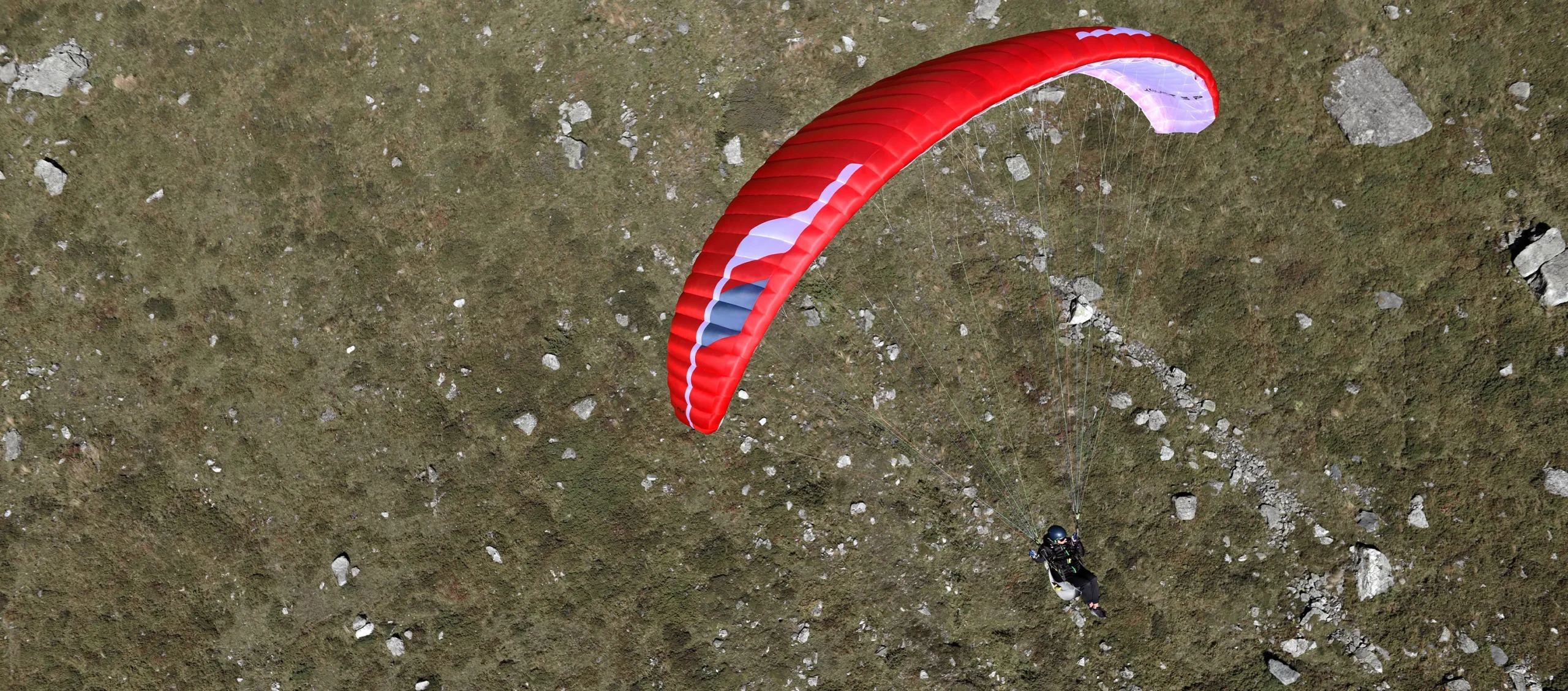 Koyot 5 P, light school wing by Niviuk